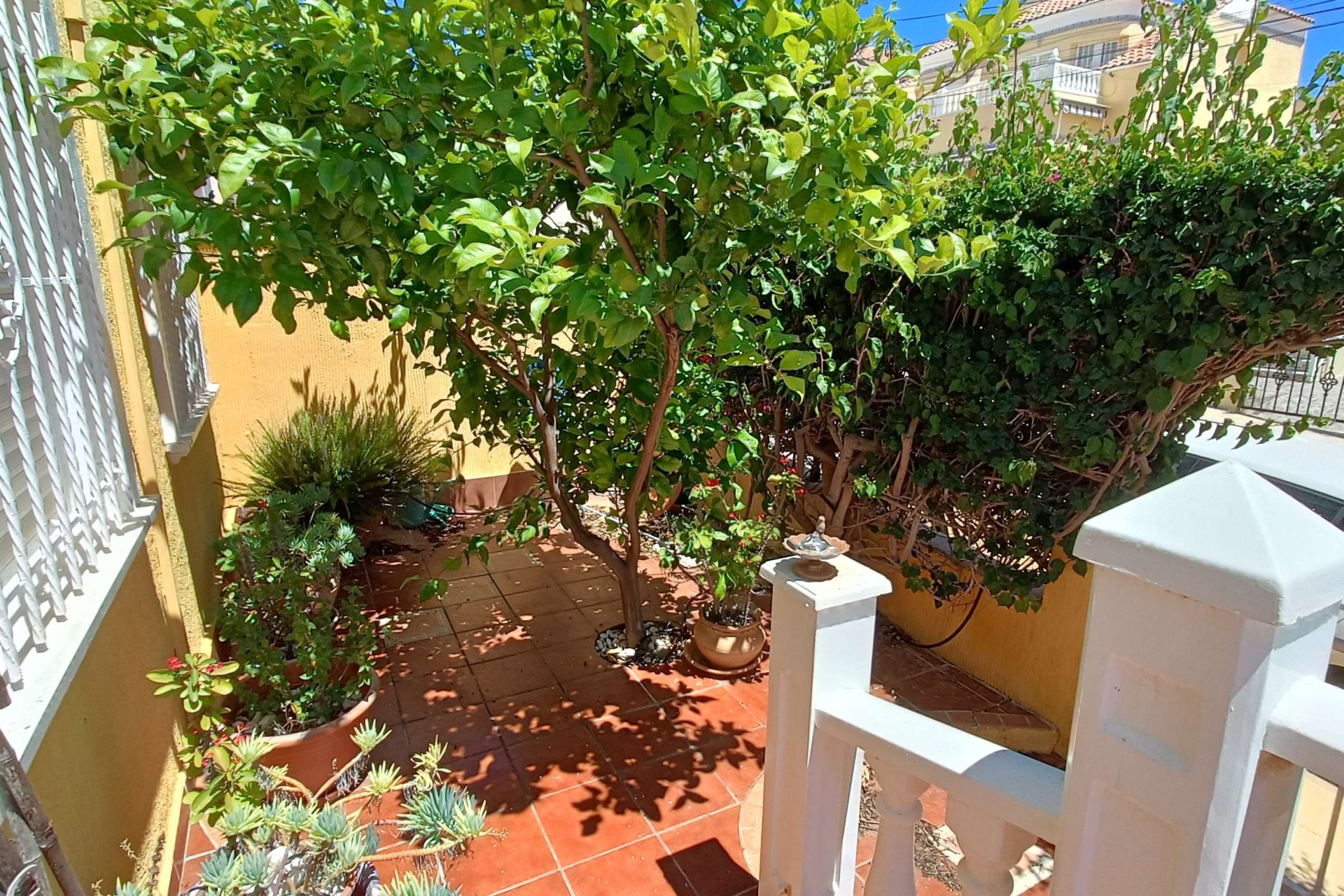Revente - Quad House -
Orihuela Costa - Costa Blanca