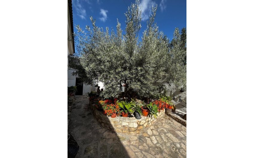 Revente - Town House -
Benejúzar - Comunidad Valenciana