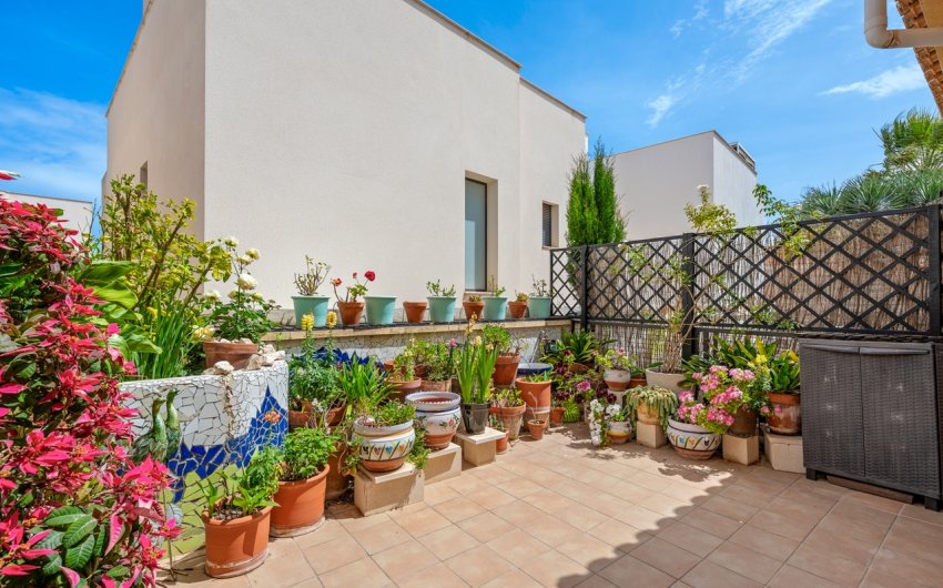 Revente - Town House -
San Miguel de Salinas - Inland