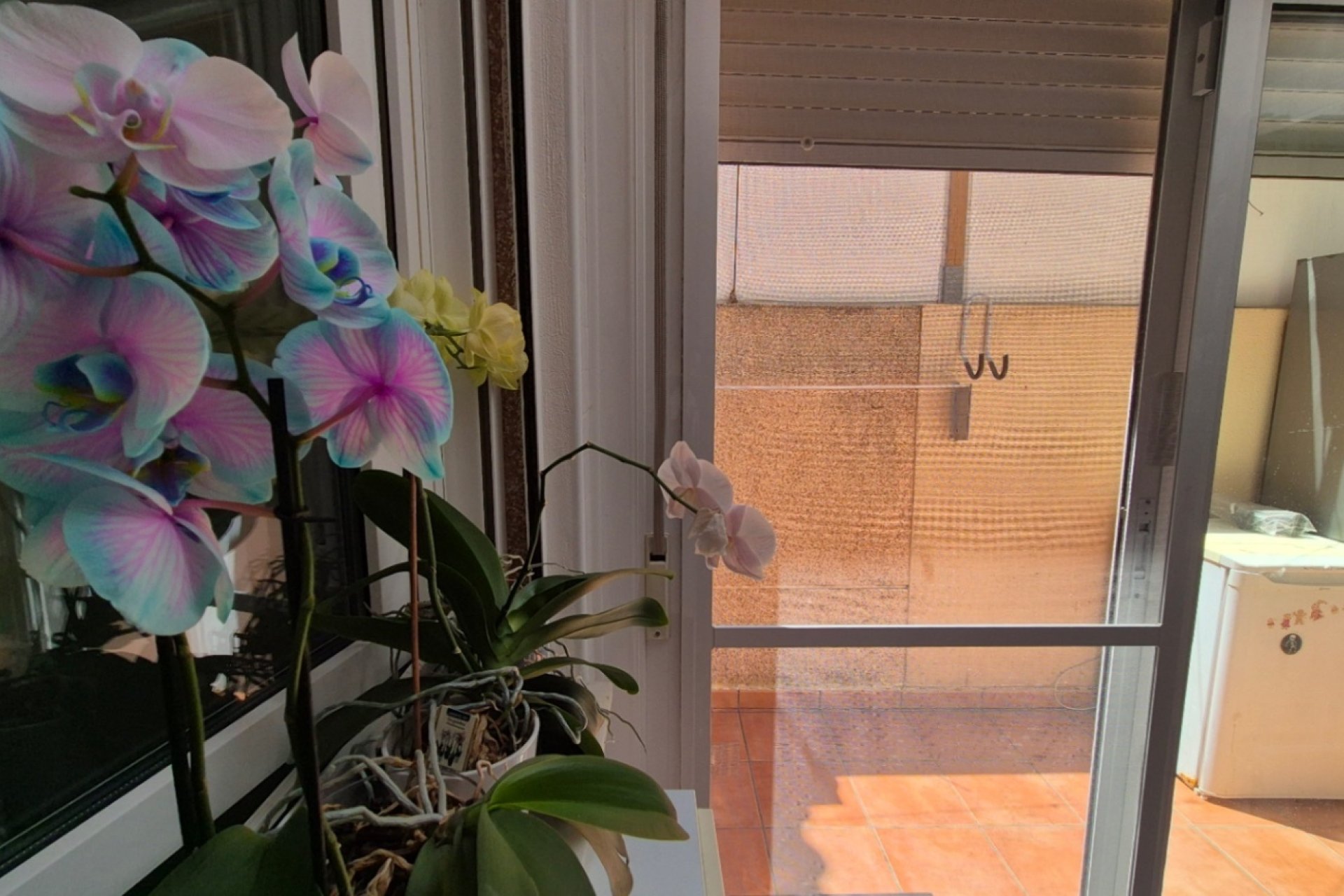 Revente - Town House -
Torrevieja - Costa Blanca