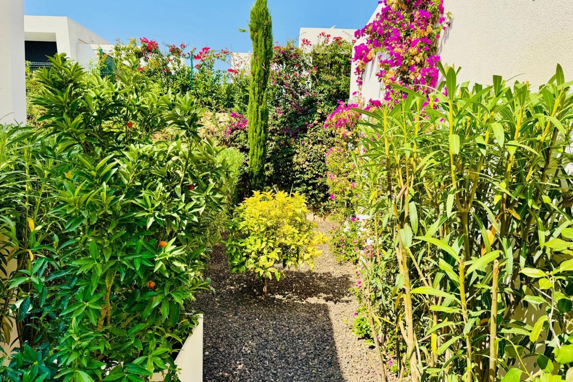 Revente - Villa -
Algorfa - Inland