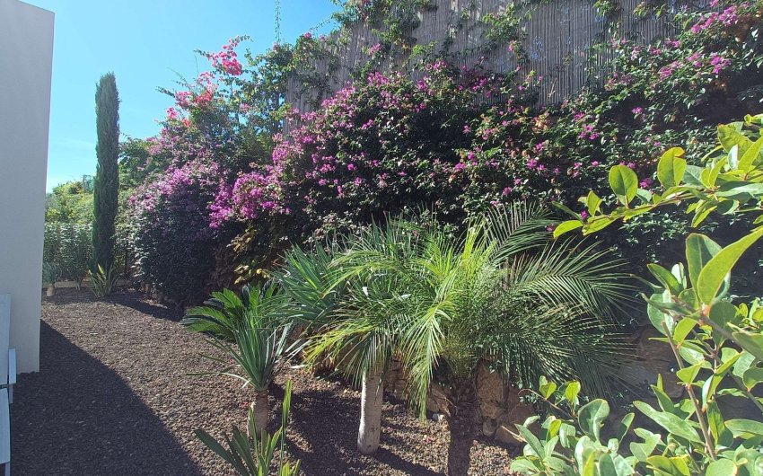 Revente - Villa -
Algorfa - Inland