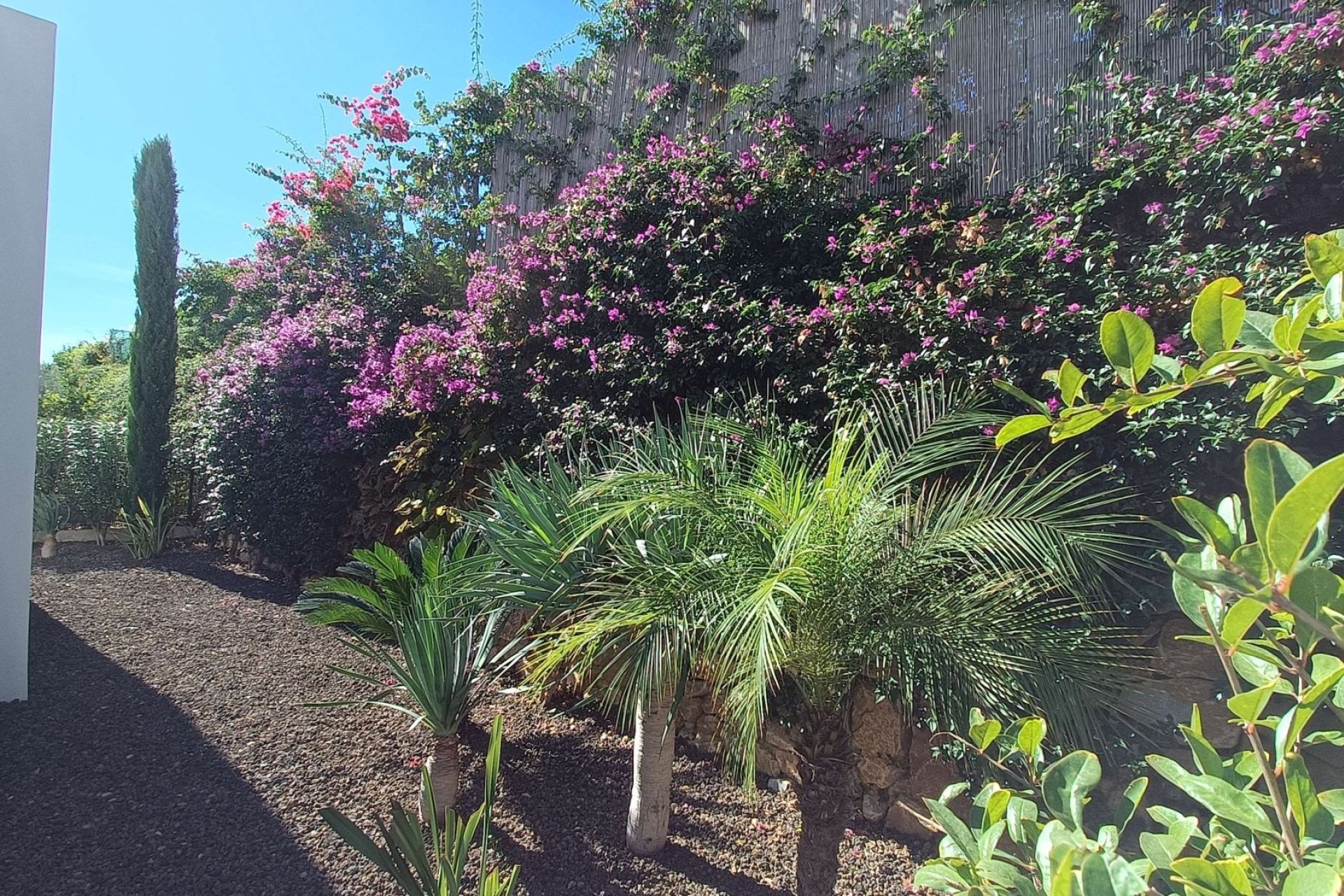 Revente - Villa -
Algorfa - Inland