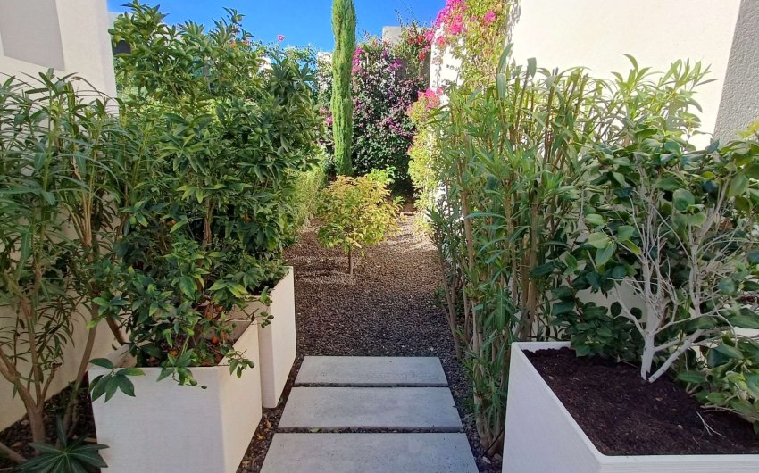 Revente - Villa -
Algorfa - Inland