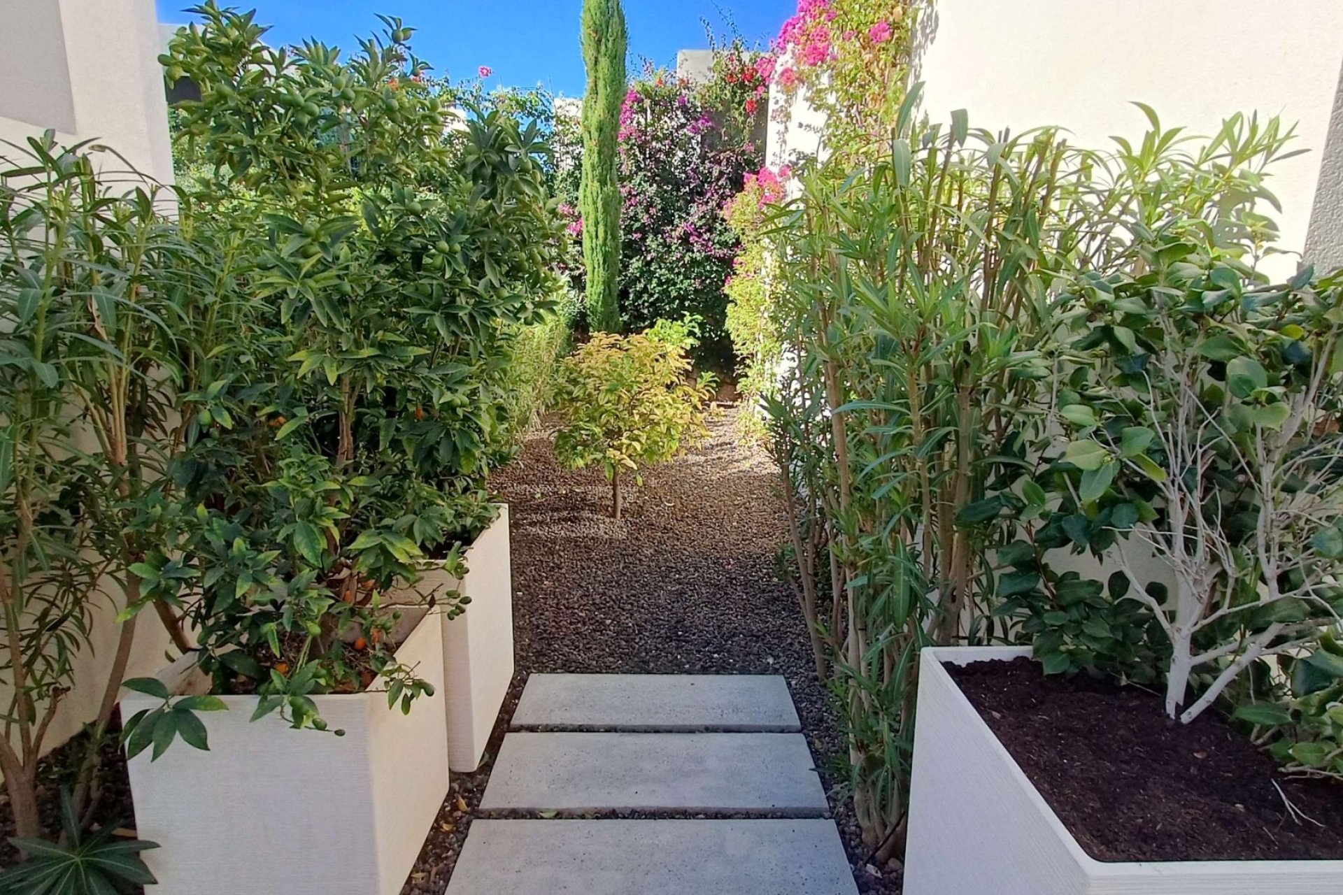 Revente - Villa -
Algorfa - Inland