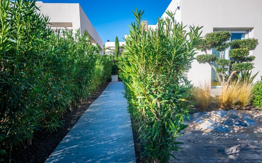 Revente - Villa -
Algorfa - Inland