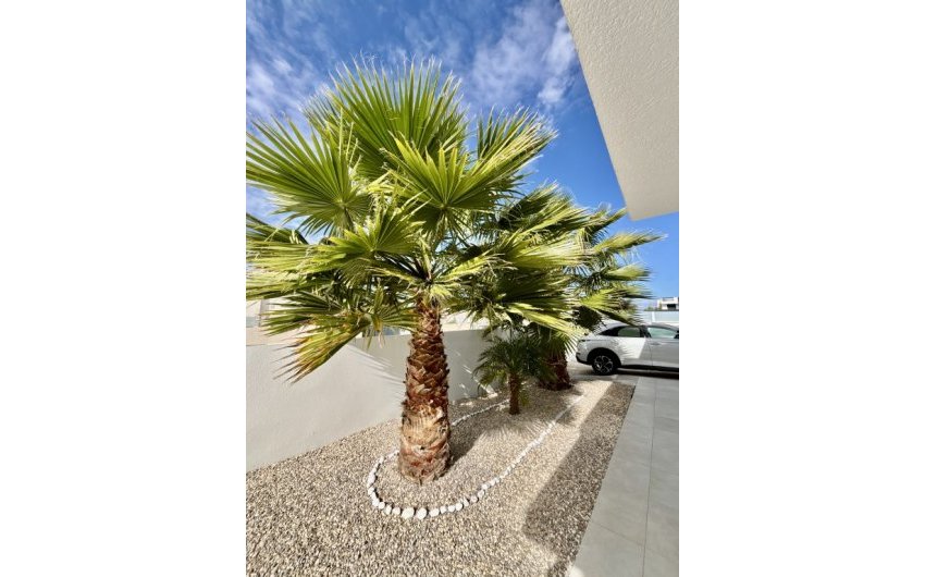 Revente - Villa -
Benijofar - Costa Blanca