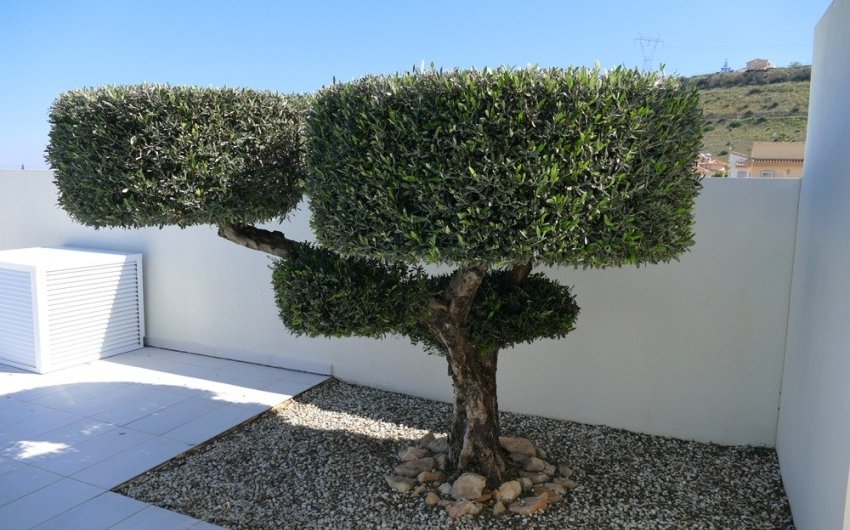 Revente - Villa -
Benijofar - Costa Blanca