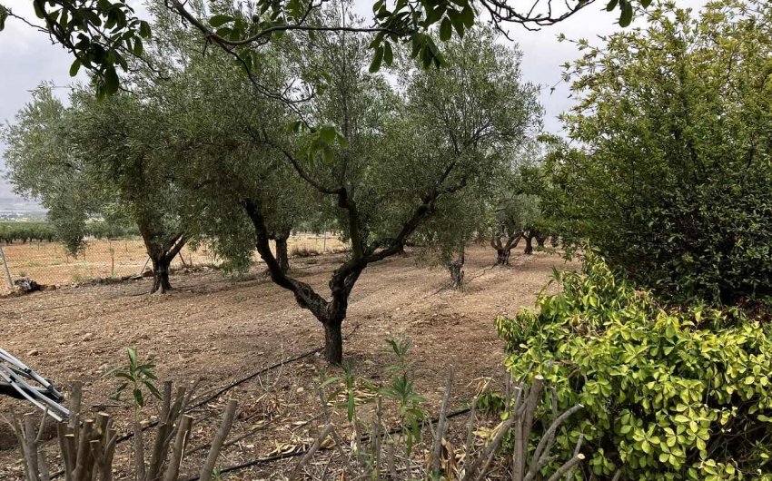 Revente - Villa -
Biar - Costa Blanca