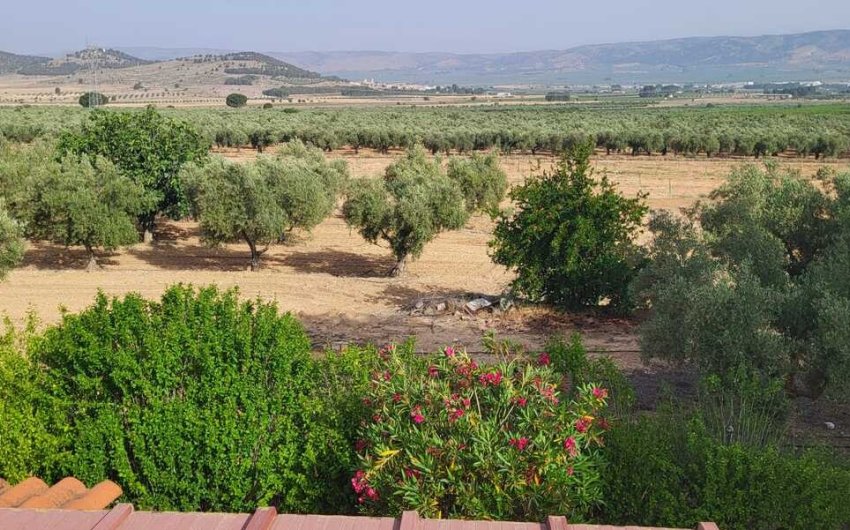 Revente - Villa -
Biar - Costa Blanca