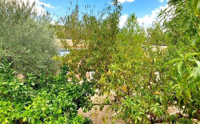 Revente - Villa -
Calasparra - Inland