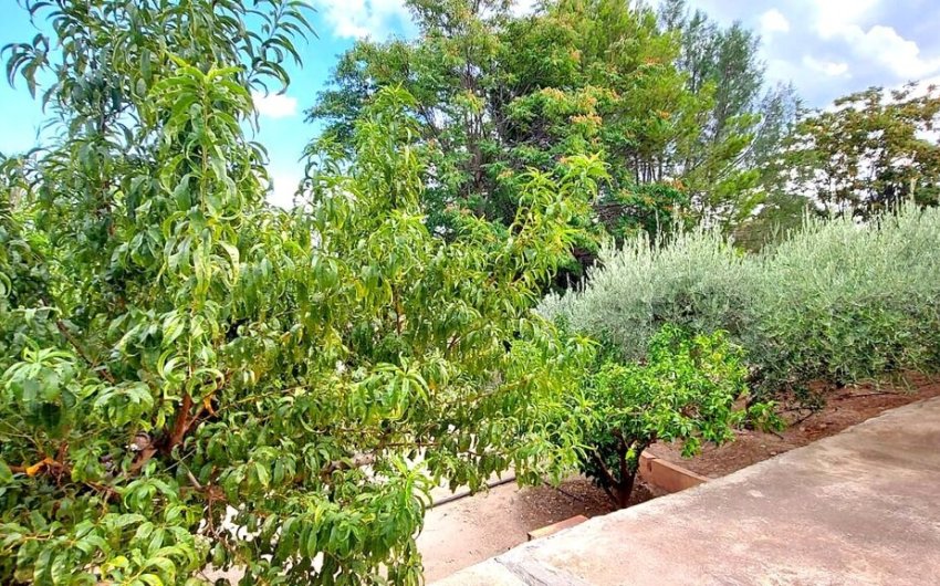 Revente - Villa -
Calasparra - Inland