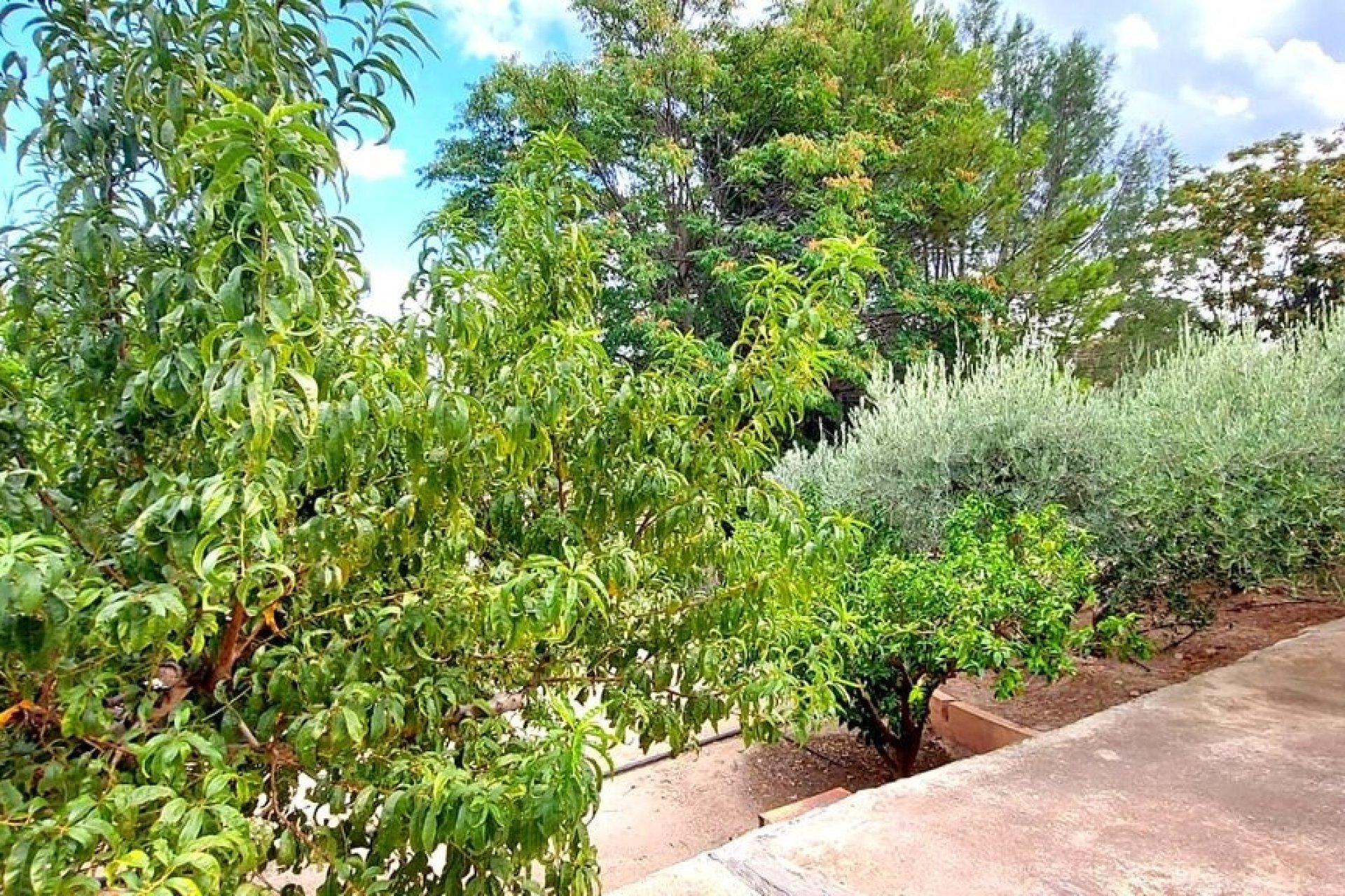 Revente - Villa -
Calasparra - Inland