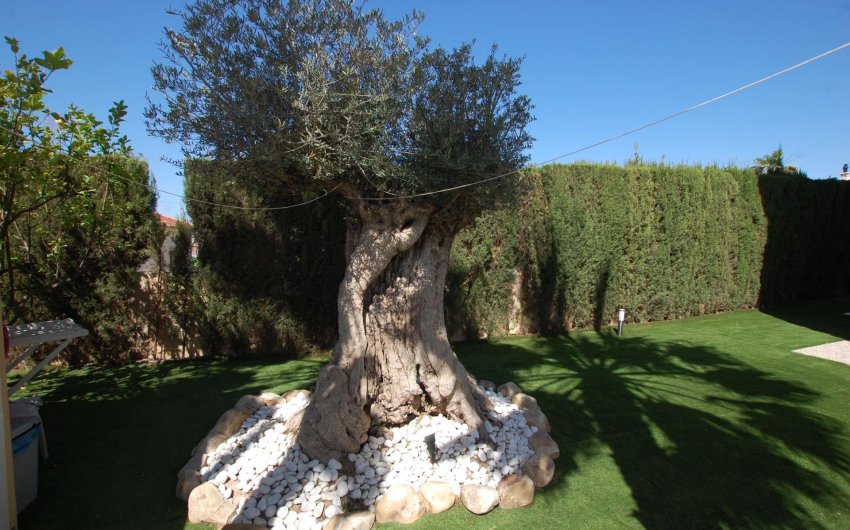 Revente - Villa -
Ciudad Quesada - Costa Blanca