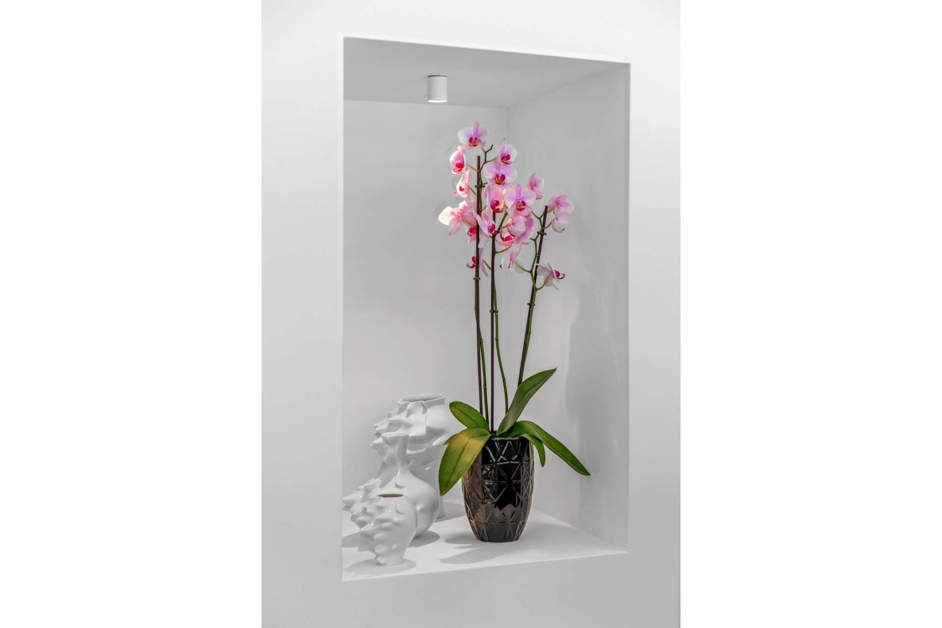 Revente - Villa -
Guardamar del Segura - Costa Blanca