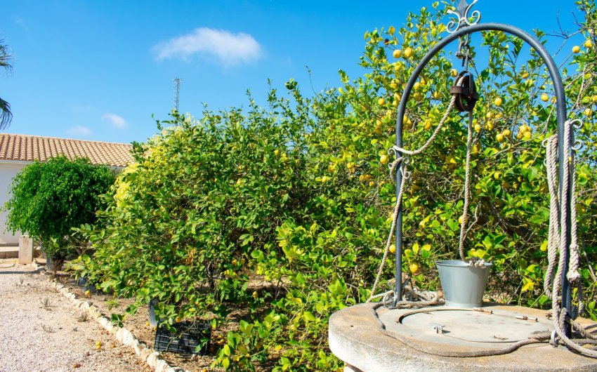 Revente - Villa -
Guardamar del Segura - El Raso