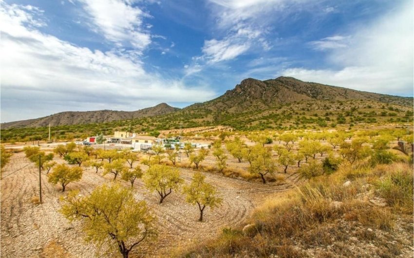 Revente - Villa -
Jumilla - Inland