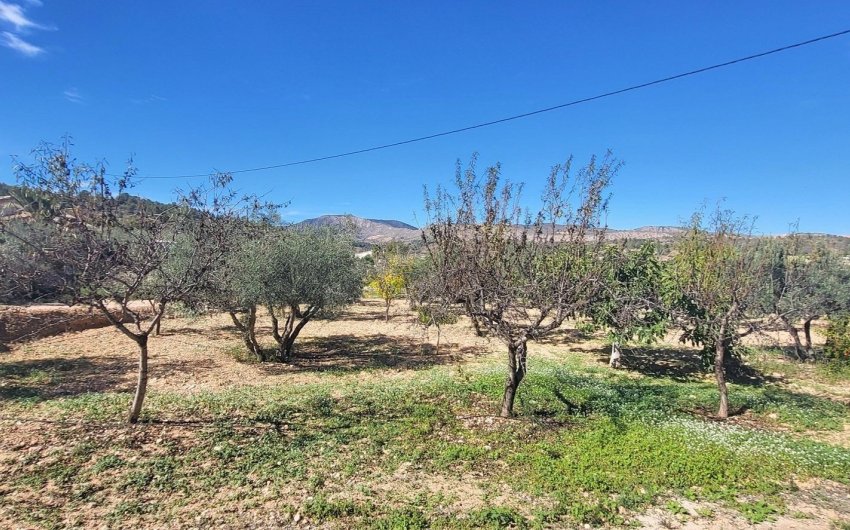 Revente - Villa -
La Romana