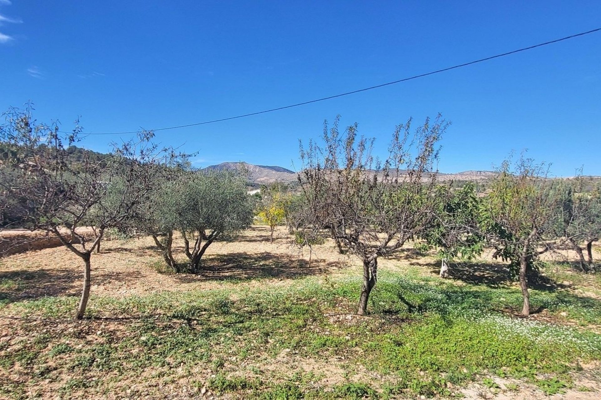 Revente - Villa -
La Romana