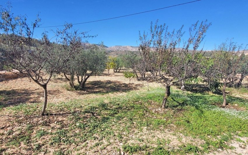 Revente - Villa -
La Romana