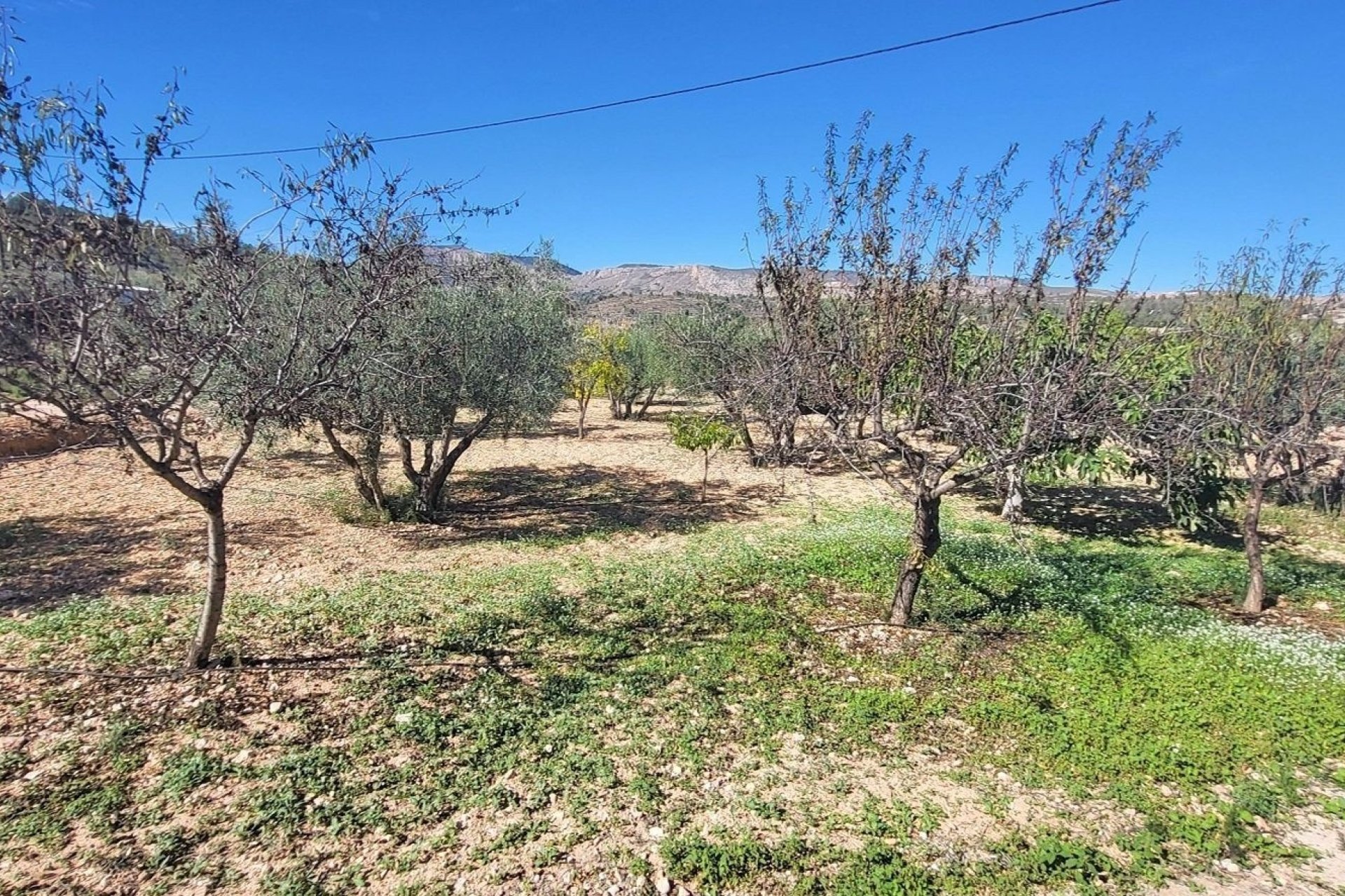 Revente - Villa -
La Romana