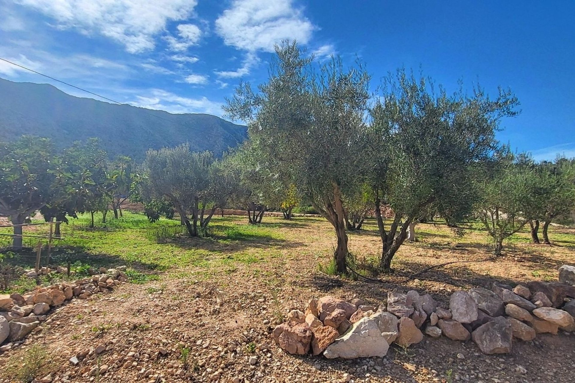 Revente - Villa -
La Romana