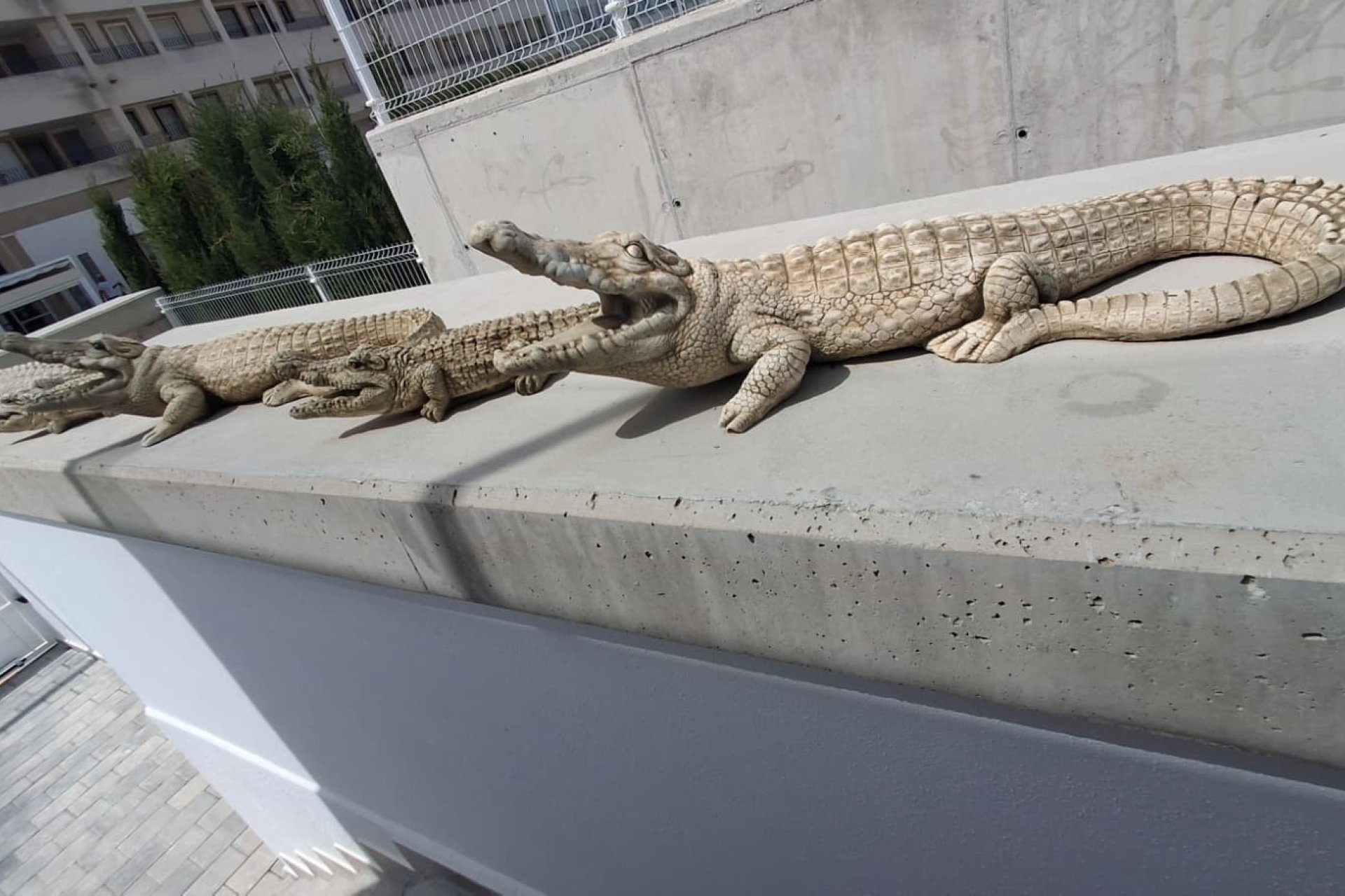 Revente - Villa -
Orihuela - Entre Naranjos Vistabella Golf
