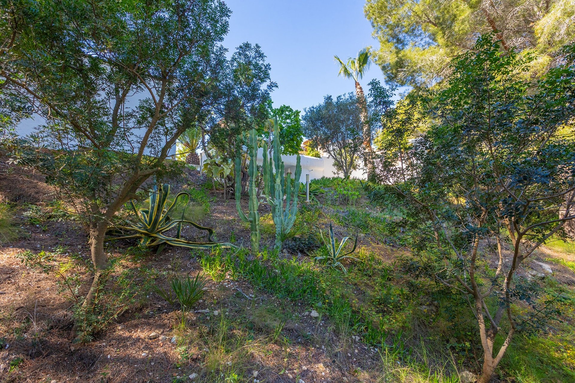 Revente - Villa -
Orihuela - Inland