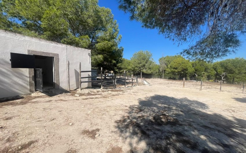Revente - Villa -
Orihuela - Torremendo