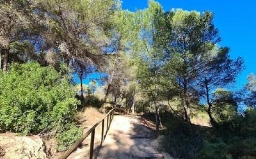 Revente - Villa -
Pilar de la Horadada - Pinar de Campoverde