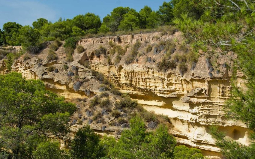 Revente - Villa -
Pilar de la Horadada - Pinar de Campoverde