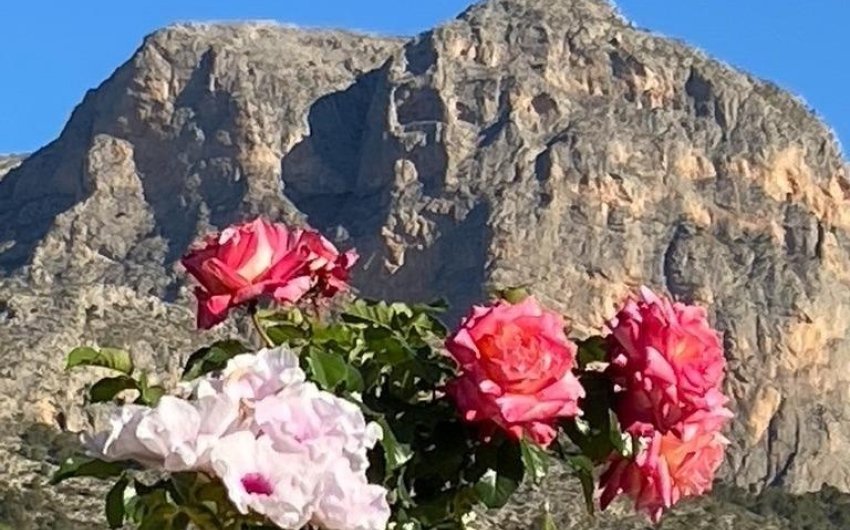 Revente - Villa -
Polop - Alberca