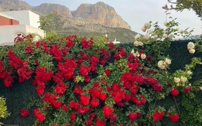 Revente - Villa -
Polop - Alberca
