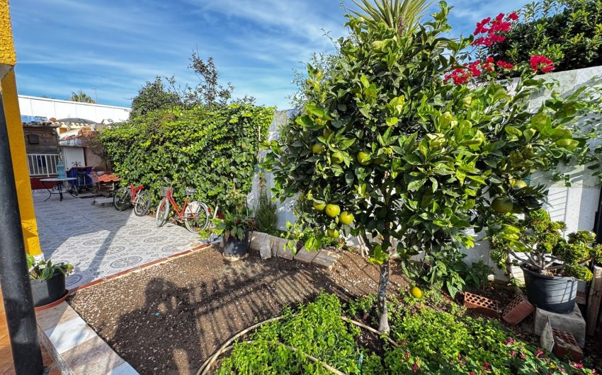 Revente - Villa -
Punta Prima