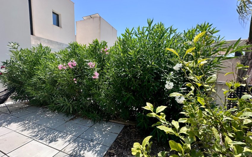 Revente - Villa -
Rojales