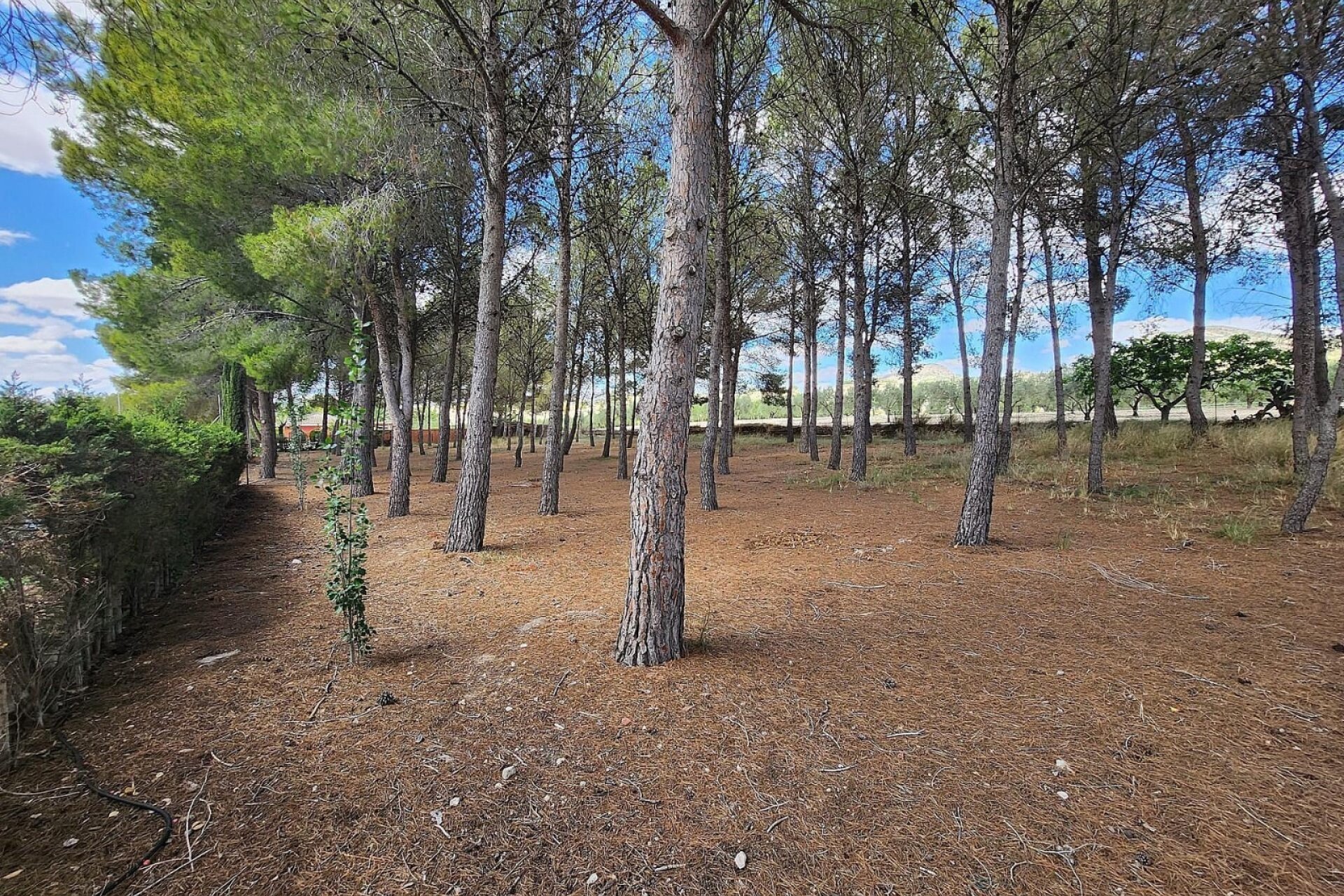 Revente - Villa -
Sax