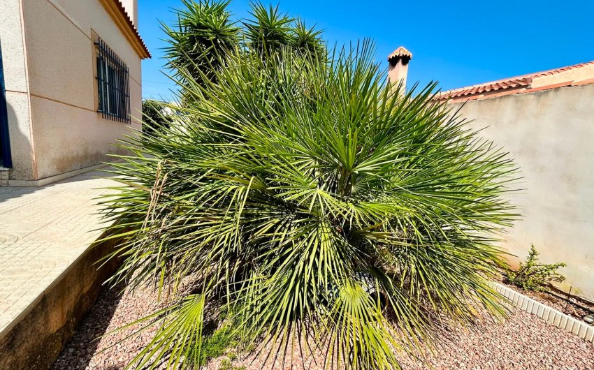 Revente - Villa -
Torrevieja - Costa Blanca
