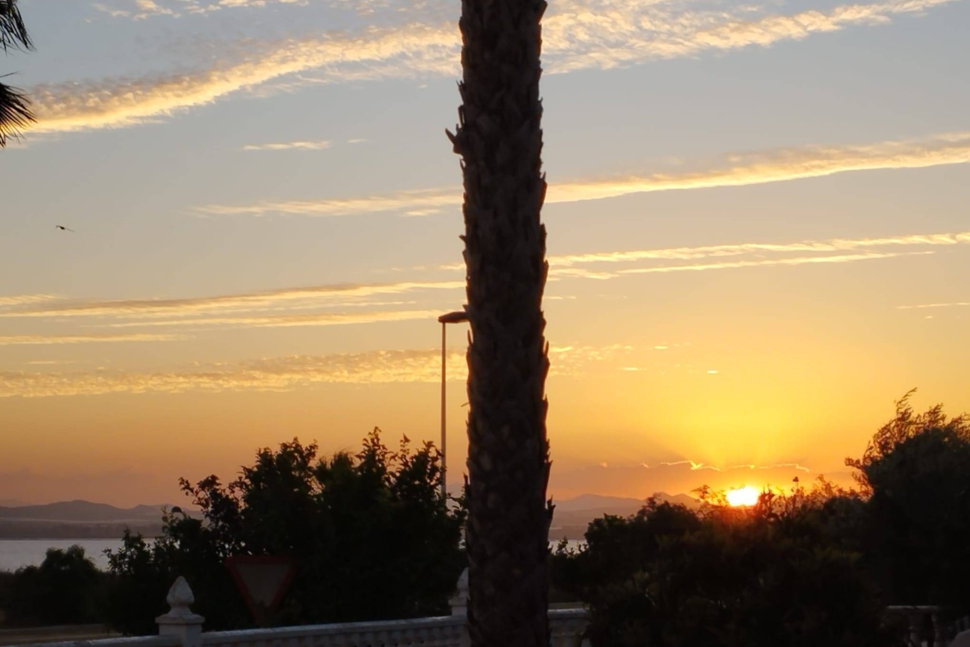 Revente - Villa -
Torrevieja - La Siesta - El Salado - Torreta