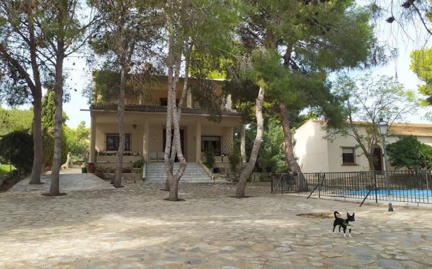 Revente - Villa -
Torrevieja - Los Balcones