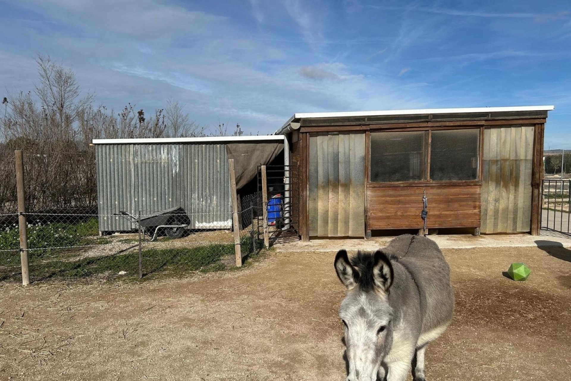 Revente - Villa -
Villena