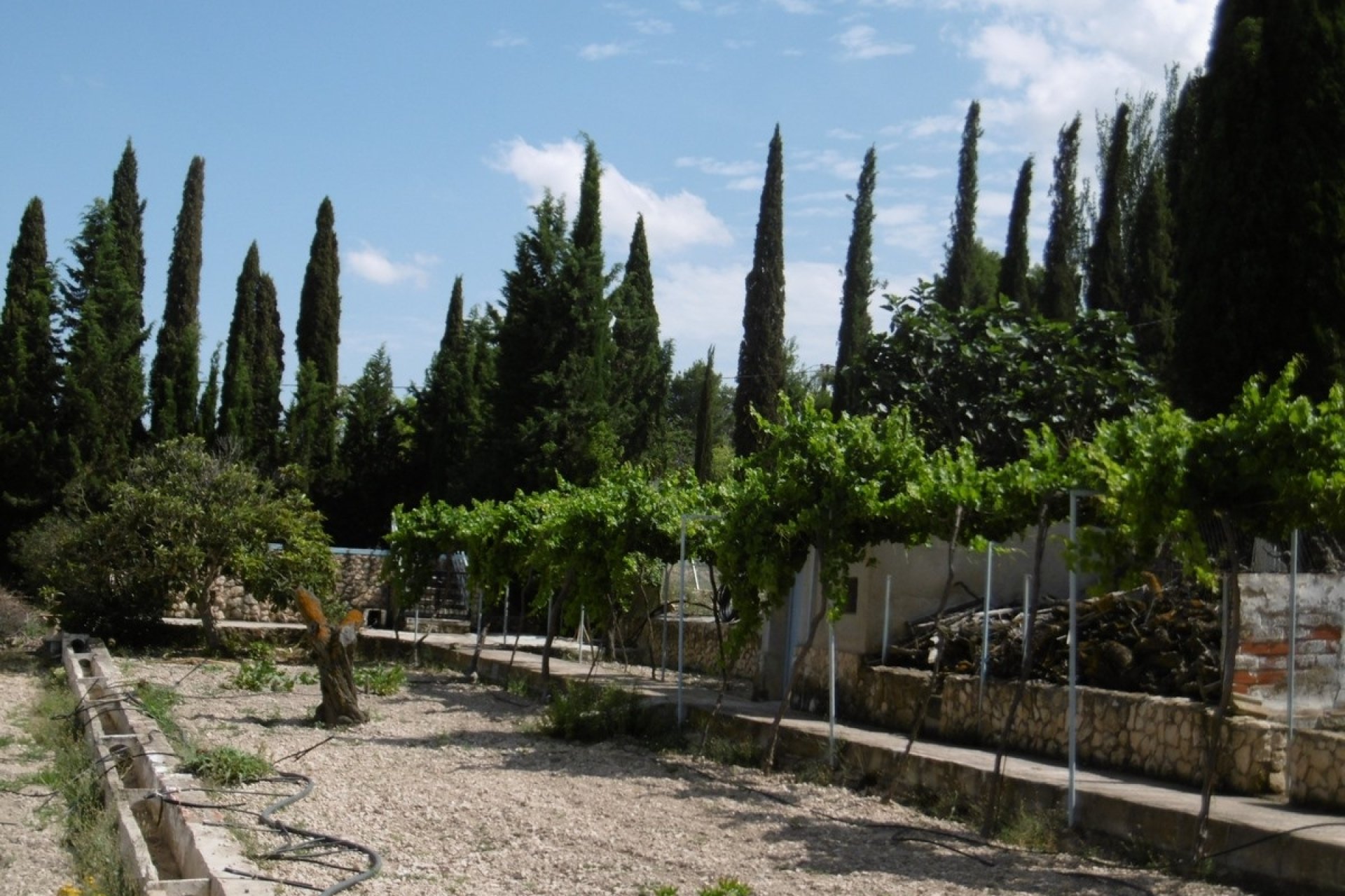 Revente - Villa -
Yecla - Inland