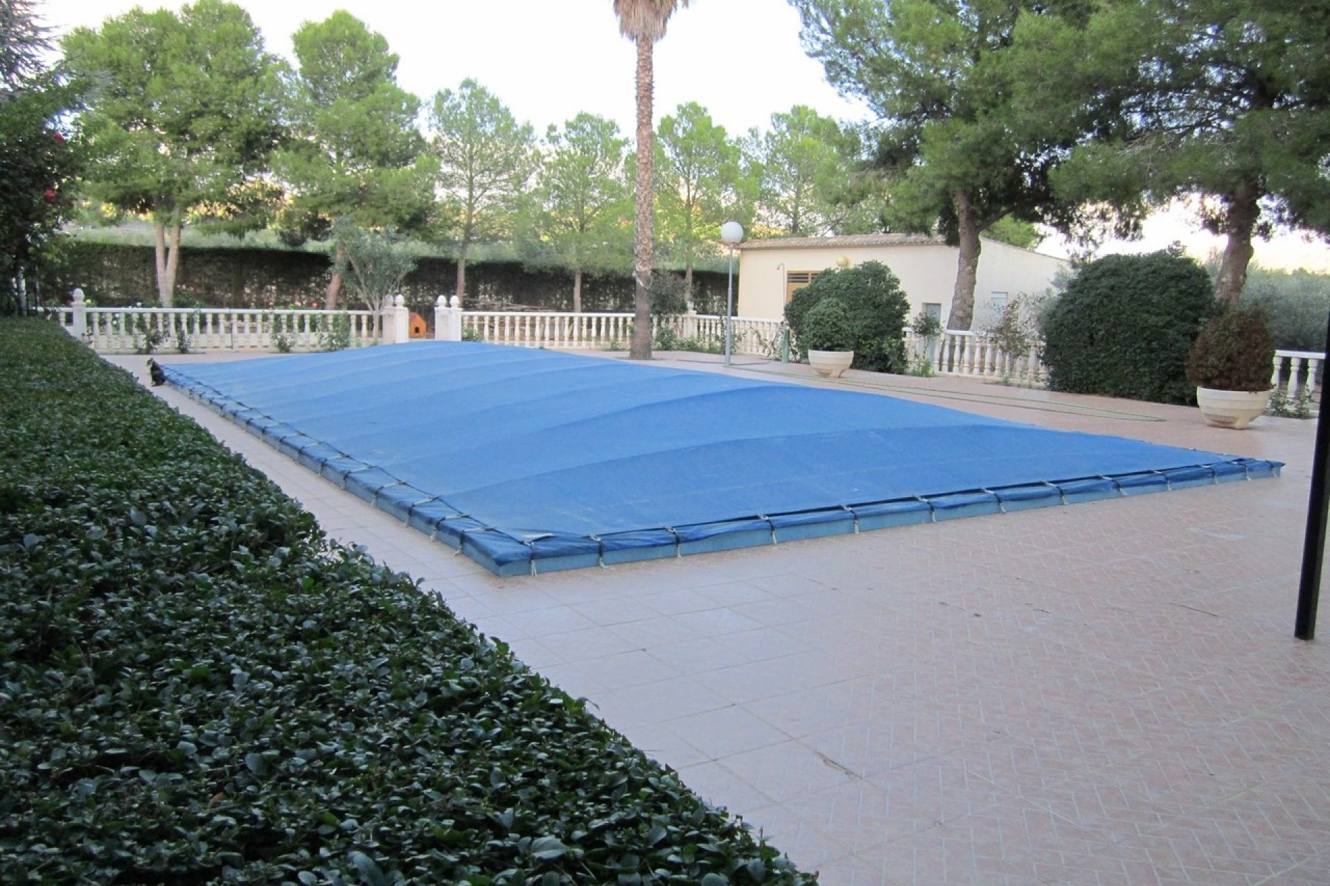 Revente - Villa -
Yecla - Inland