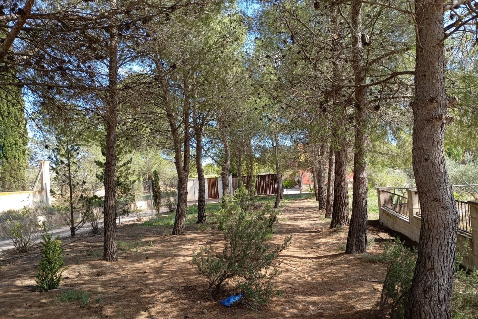 Revente - Villa -
Yecla - Inland