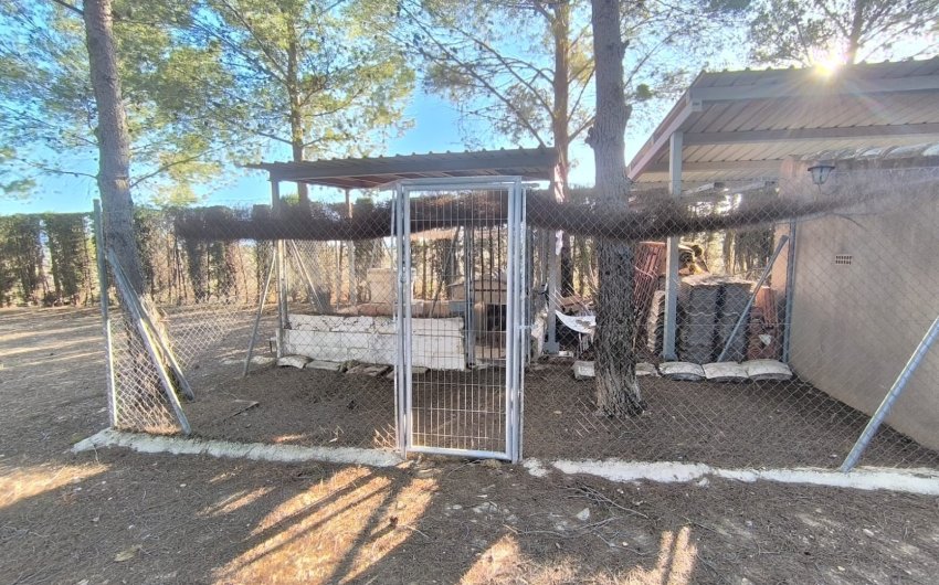 Revente - Villa -
Yecla - Inland