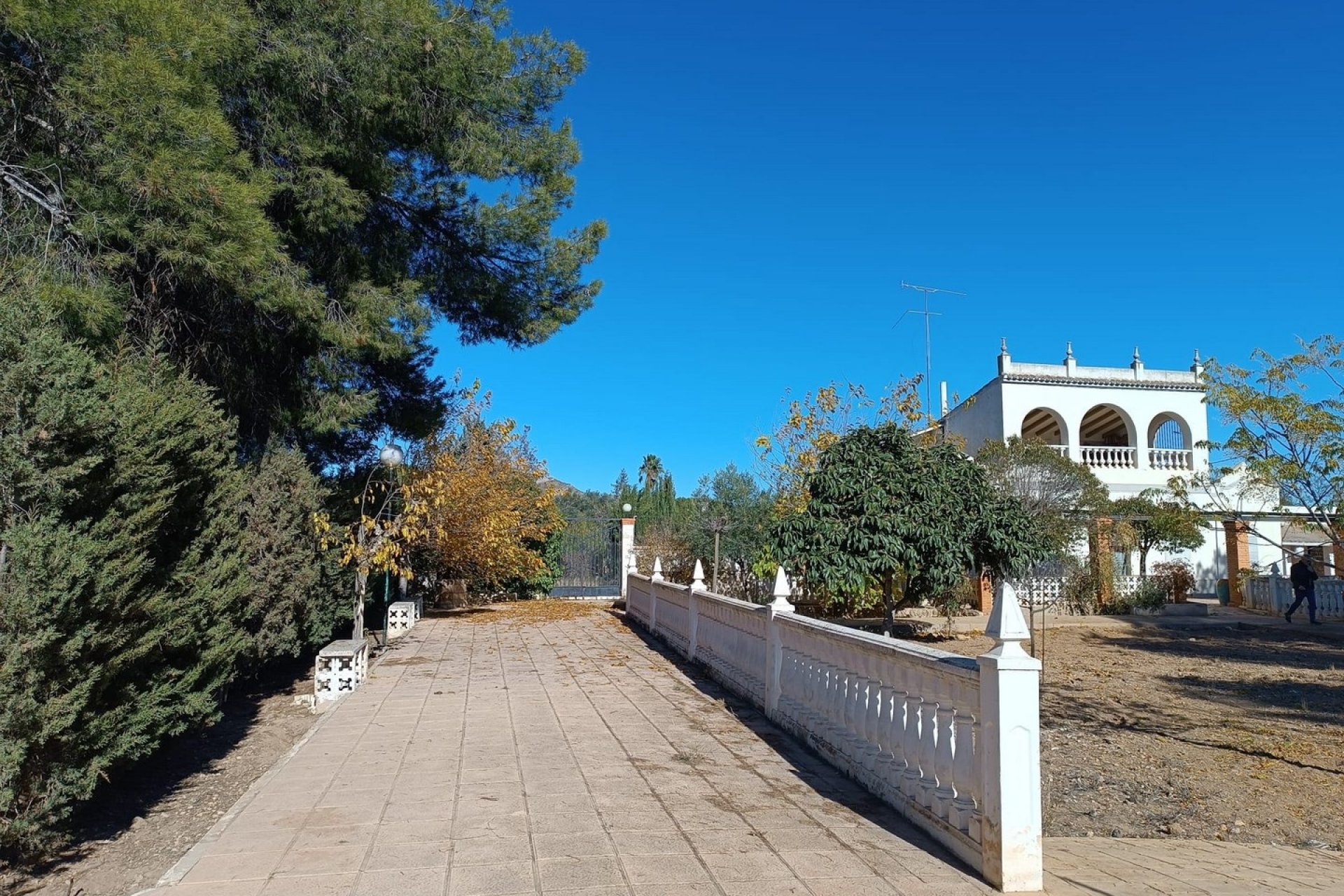 Revente - Villa -
Yecla - Inland