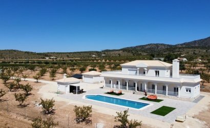 New Build - Villa -
Pinoso - Camino Del Prado