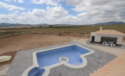 Nouvelle construction - Villa -
Pinoso - Camino Del Prado