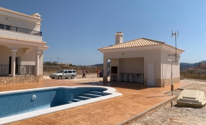 Nouvelle construction - Villa -
Pinoso - Camino Del Prado