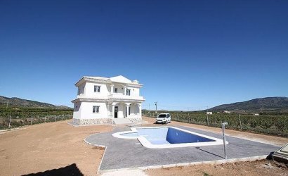 Obra nueva - Villa -
Pinoso - Camino Del Prado