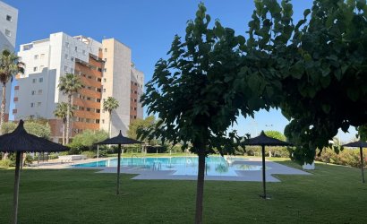 Herverkoop - Apartamento -
Guardamar del Segura - Avenida del Puerto